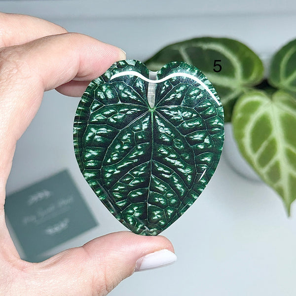 🍃 Support de téléphone feuille verte – Prise confortable et design nature