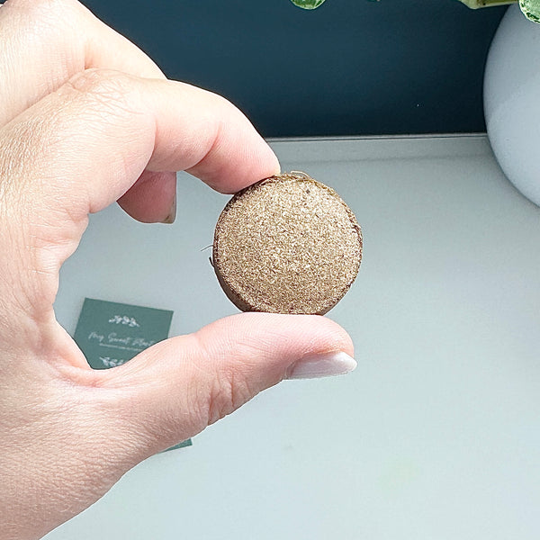 🌱 Bloc de terre en fibre de coco – Terreau nutritif compressé