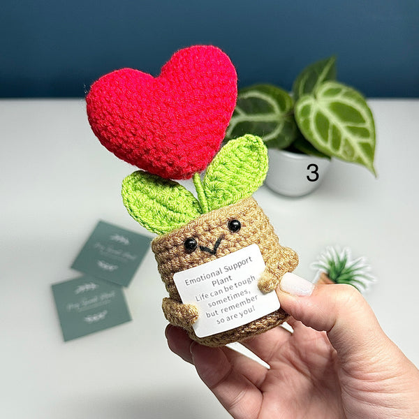 Plante au Crochet – Plusieurs modèles