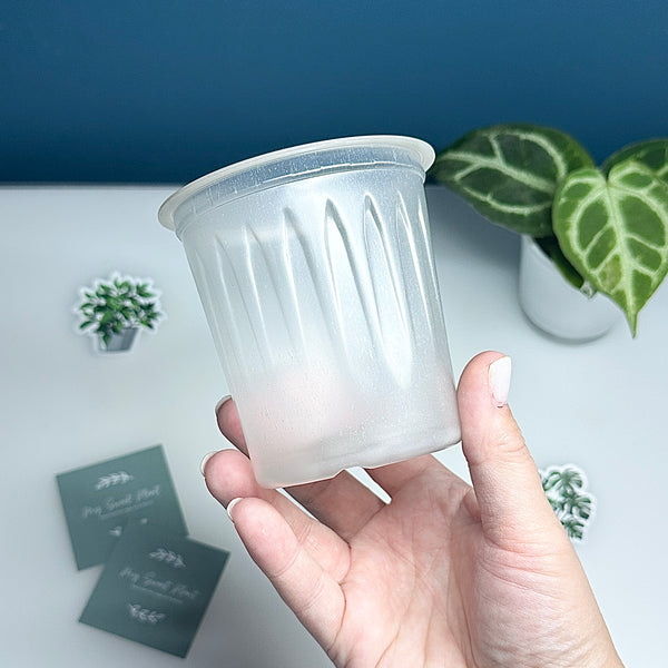 🌿 Pots Transparents pour Plantes – 6 cm / 9 cm / 12 cm