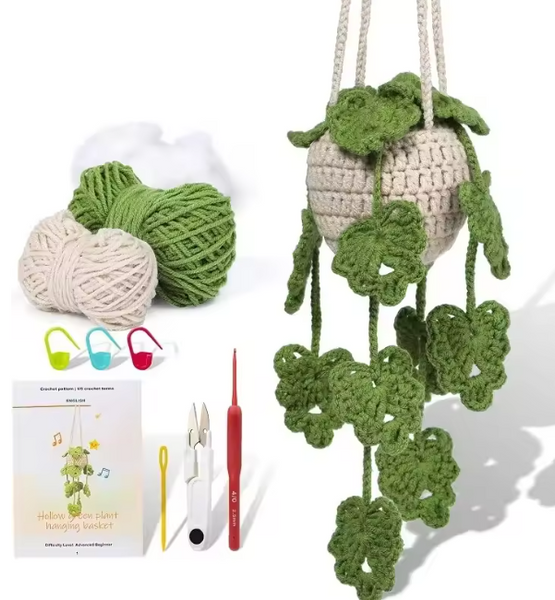 🪴 Kit de Plante Suspendue au Crochet pour Débutants