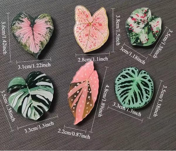 🌿 Aimants de réfrigérateur magnétiques – Design plantes tropicales