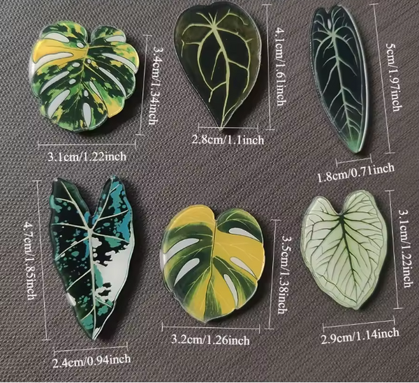 🌿 Aimants de réfrigérateur magnétiques – Design plantes tropicales