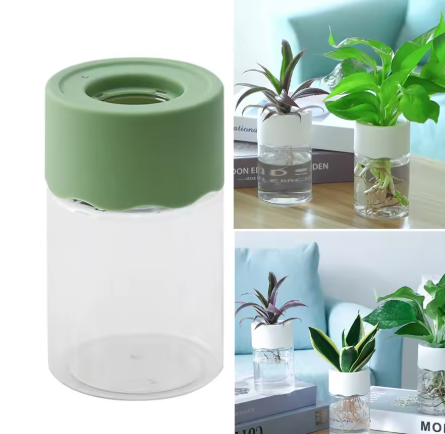 🌸 Pots Hydroponiques pour bouture avec Couvercle