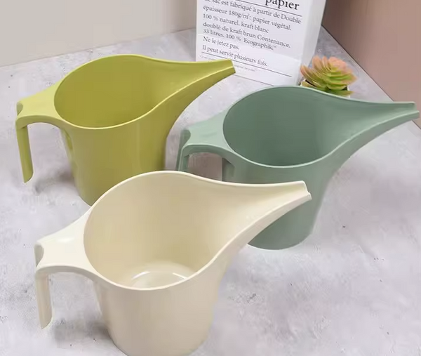 💧 Arrosoir à Bec Long – 20 x 12 cm 🌱