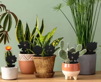 Piège à Insectes Volants – Motif Soleil, Cartes Collantes Noires Double Face 🪰