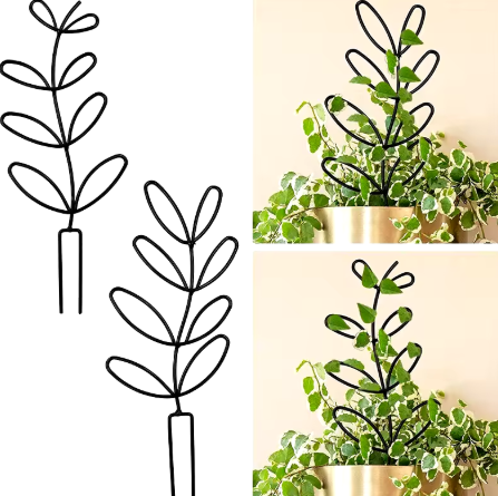 🌿 Support de fleurs pour plantes grimpantes d'intérieur – Métal Doré ou Noir 🌿