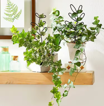 🌿 Support de fleurs pour plantes grimpantes d'intérieur – Métal Doré ou Noir 🌿
