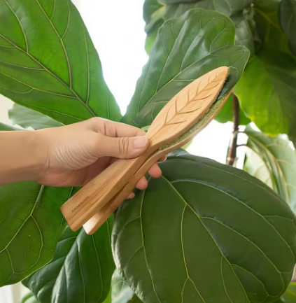 🌿 Pince de nettoyage double face en bambou et microfibre – Entretien doux et efficace des feuilles de plantes
