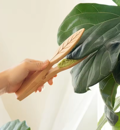 🌿 Pince de nettoyage double face en bambou et microfibre – Entretien doux et efficace des feuilles de plantes
