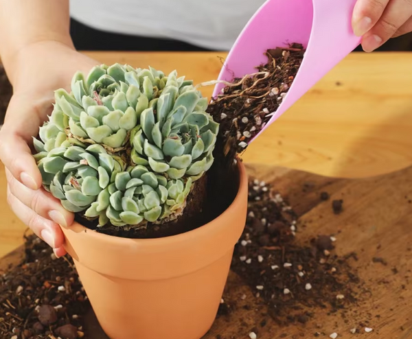 🌿 Pelle de jardinage en plastique Blanche