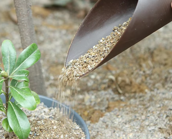 🌿 Pelle de jardinage en plastique Blanche