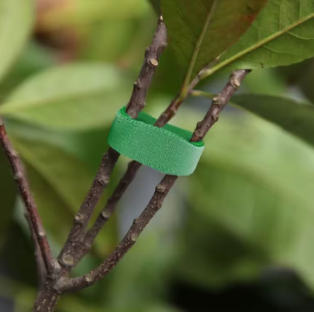 🌿 Rouleau d’attache pour plantes en nylon – Réglable, réutilisable et solide