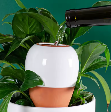 💧 Oya pour Plantes – Pointe en Terracotta, Auto-arrosage
