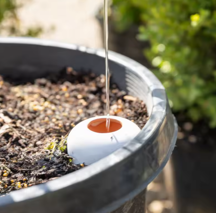 💧 Oya pour Plantes – Pointe en Terracotta, Auto-arrosage
