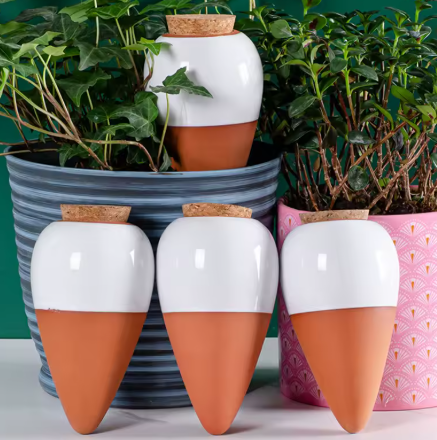 💧 Oya pour Plantes – Pointe en Terracotta, Auto-arrosage