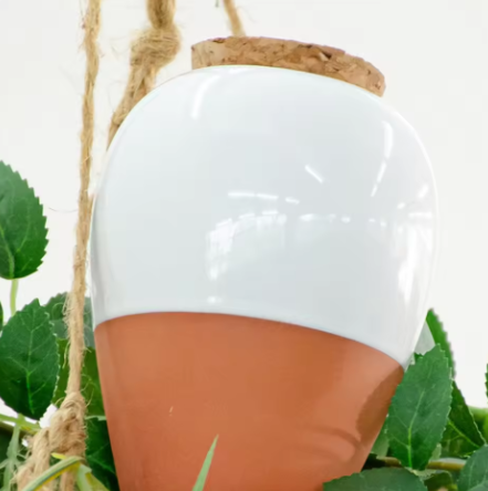 💧 Oya pour Plantes – Pointe en Terracotta, Auto-arrosage
