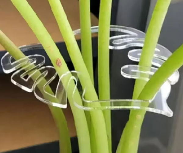 🌿  Support de tige feuille de monstera