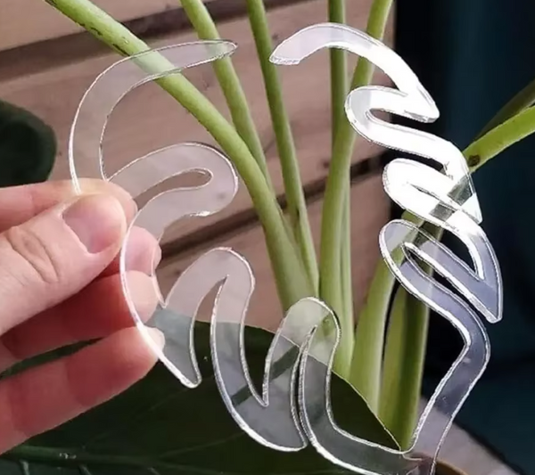 🌿  Support de tige feuille de monstera