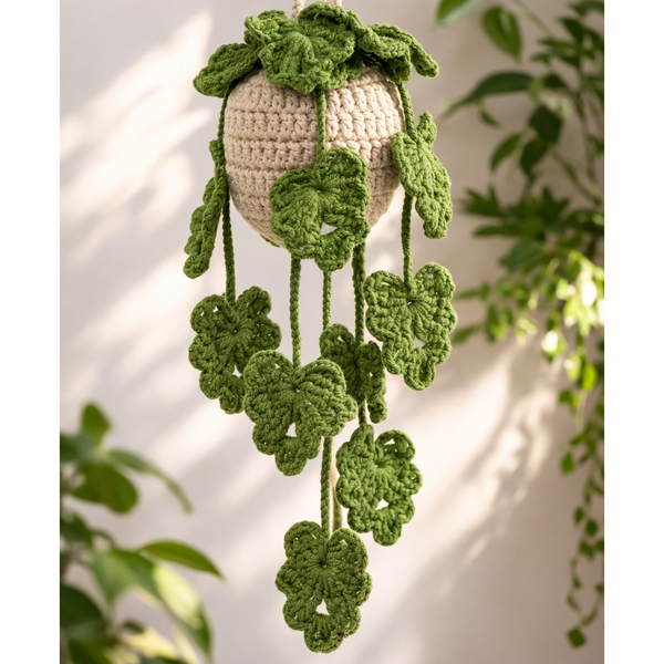 🪴 Kit de Plante Suspendue au Crochet pour Débutants