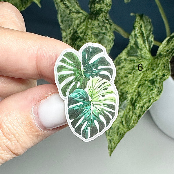 🌿 Pin’s Feuille  – Acier Inoxydable 🌿