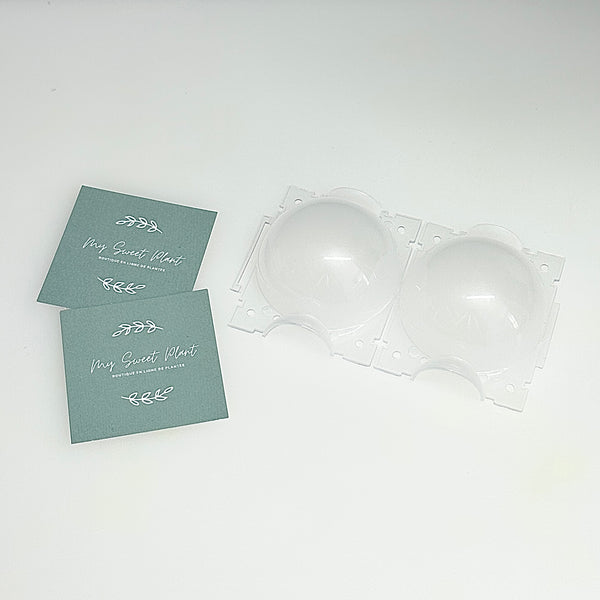 🌱 2 Boules de bouture de Plantes – Propagation Facile et Rapide 🌿