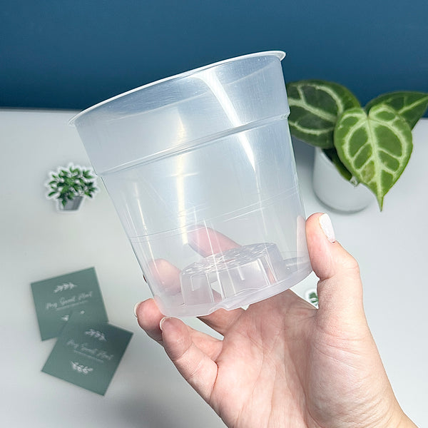 🌿 Pots Transparents pour Plantes – 6 cm / 9 cm / 12 cm