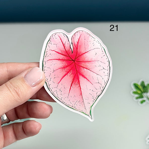 🌿 Aimants de réfrigérateur magnétiques – Design plantes tropicales