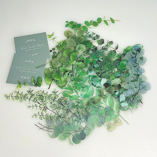 🌿 Lot de 40 autocollants Eucalyptus transparent