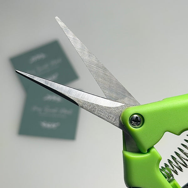 ✂️ Sécateur de Jardinage à Main 🌱