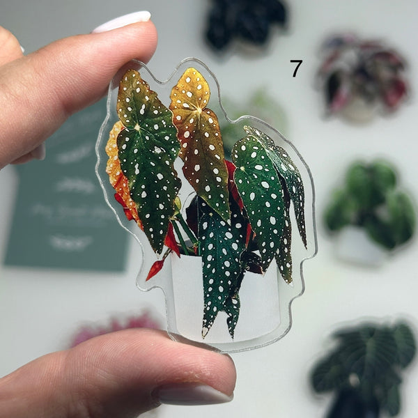 🌿 Aimants de réfrigérateur magnétiques – Design plantes tropicales