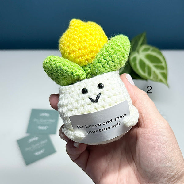 Plante au Crochet – Plusieurs modèles