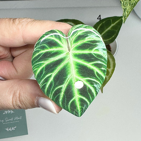 🍃 Support de téléphone feuille verte – Prise confortable et design nature