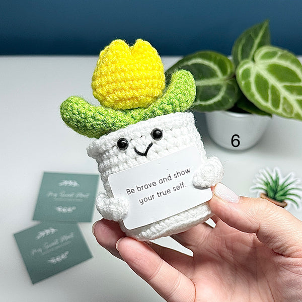 Plante au Crochet – Plusieurs modèles