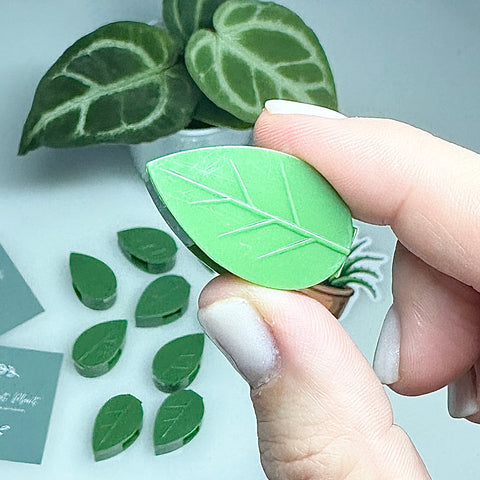 🌱 Fixateurs de Plantes Vertes – Feuilles Muraux Universels (Lot de 10)