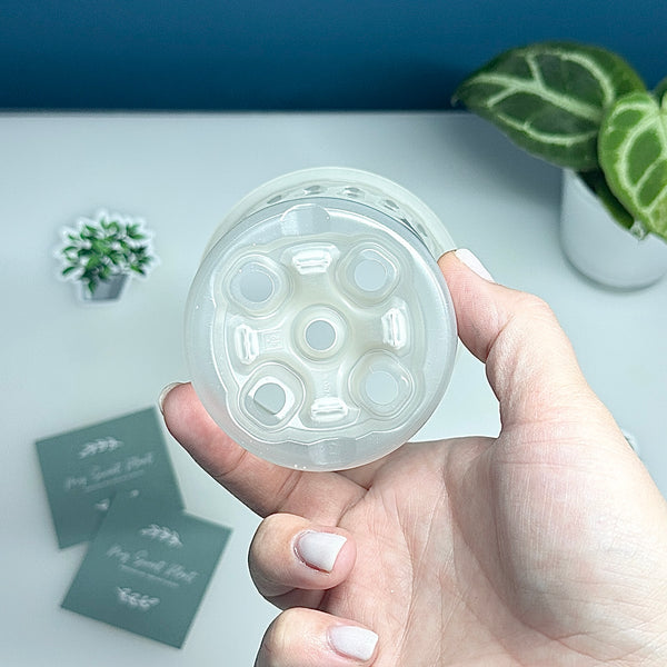 🌿 Pots Transparents pour Plantes – 6 cm / 9 cm / 12 cm