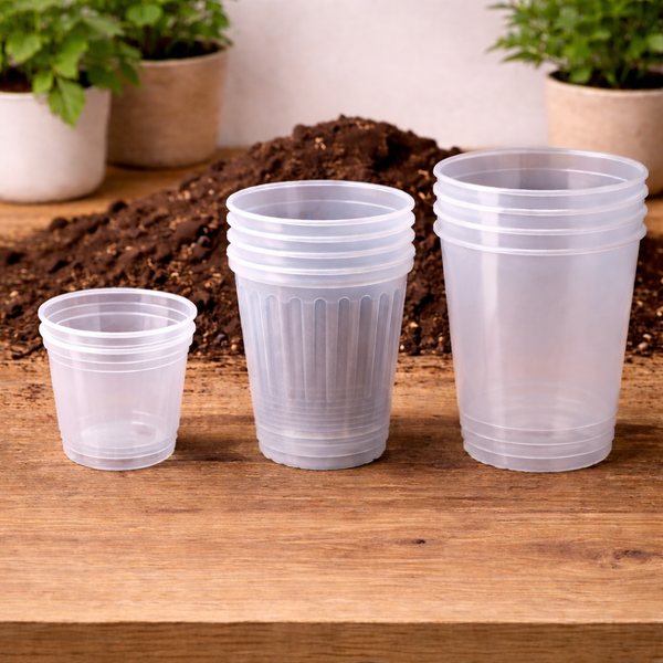 🌿 Pots Transparents pour Plantes – 6 cm / 9 cm / 12 cm