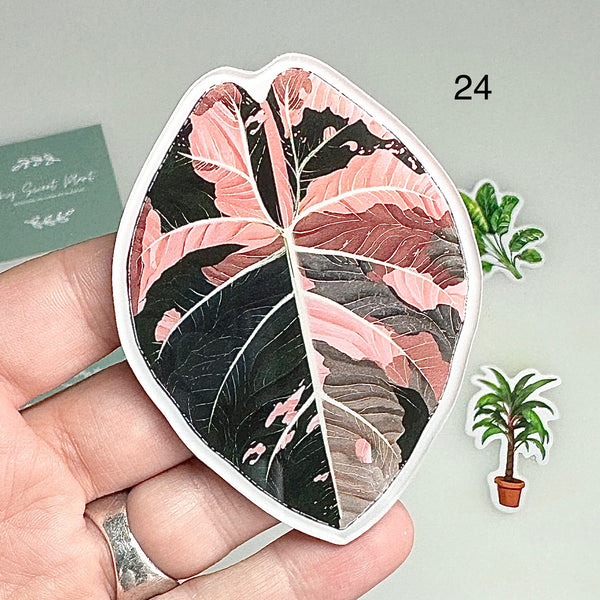 🌿 Aimants de réfrigérateur magnétiques – Design plantes tropicales
