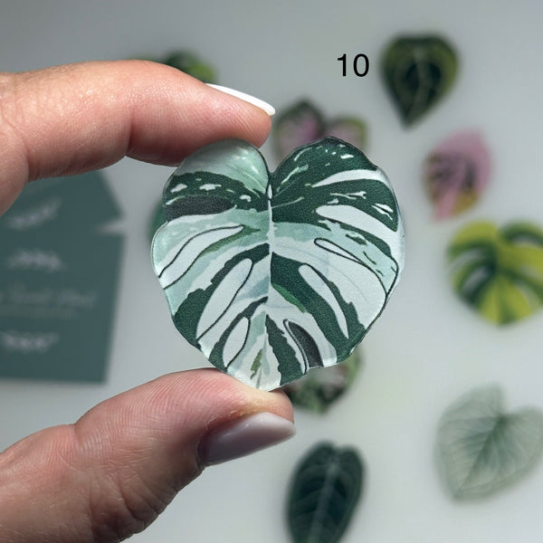 🌿 Aimants de réfrigérateur magnétiques – Design plantes tropicales