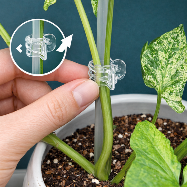 🌿 Pinces Transparentes pour Tuteurs – Lot de 10