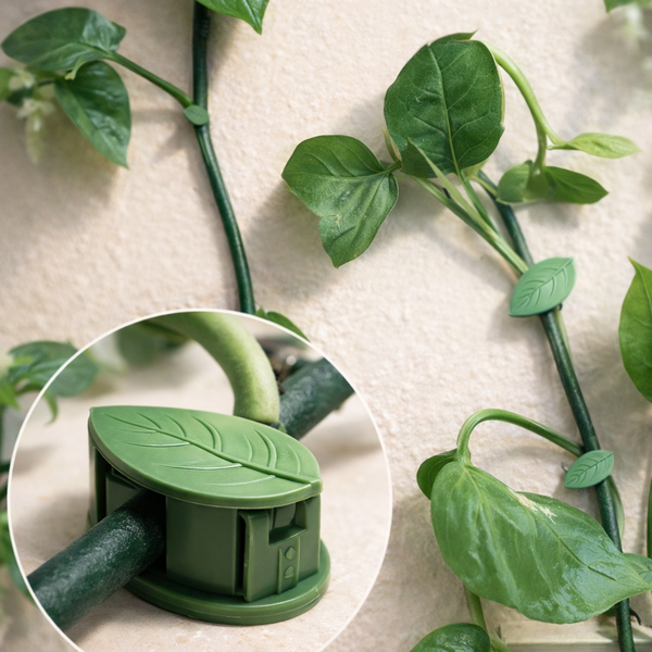 🌱 Fixateurs de Plantes Vertes – Feuilles Muraux Universels (Lot de 10)