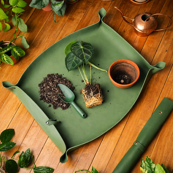 Tapis de rempotage Vert
