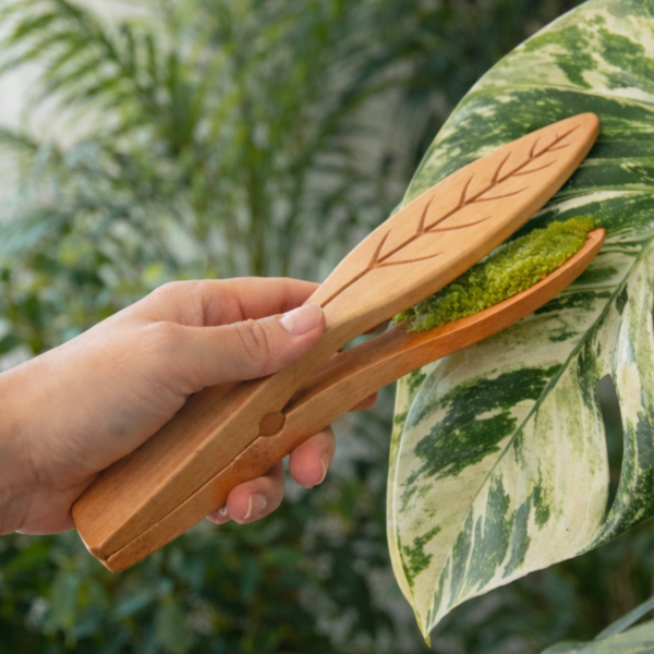 🌿 Pince de nettoyage double face en bambou et microfibre – Entretien doux et efficace des feuilles de plantes