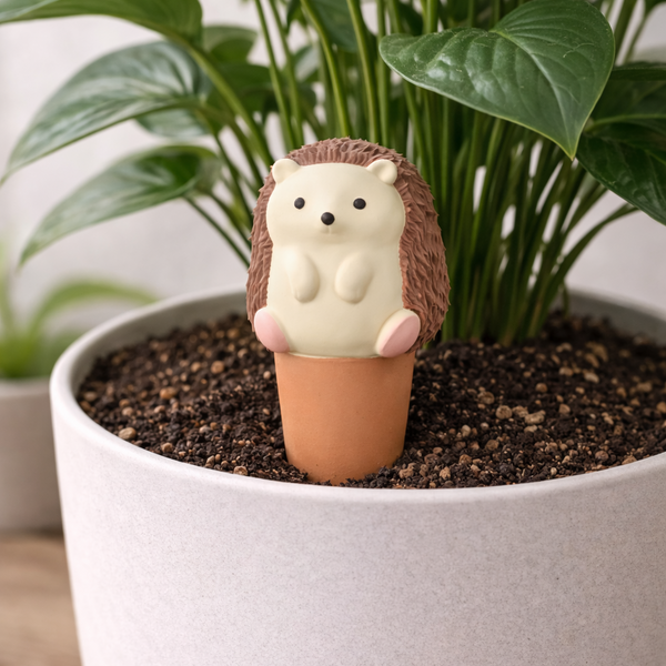 Oya Animaux Hérison en Terre Cuite – Auto-Irrigation pour Plantes 🌿