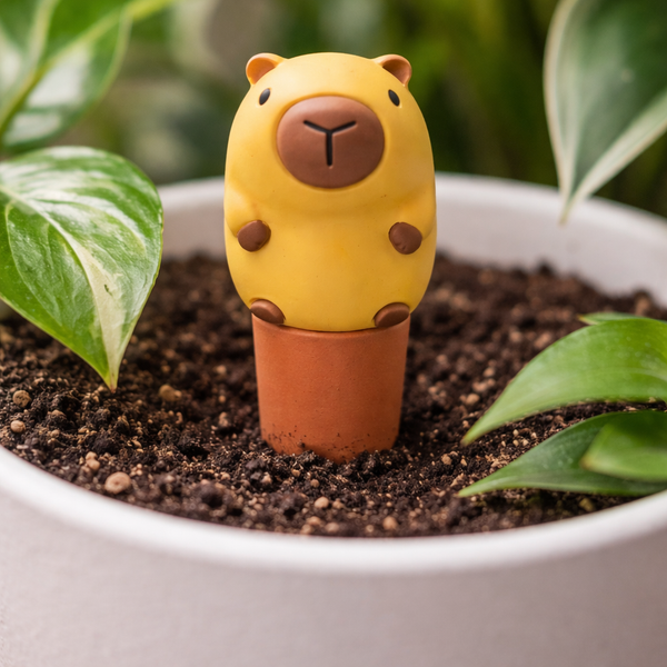 🐢Oya Animaux en Terre Cuite Capybara – Auto-Irrigation pour Plantes 🌿