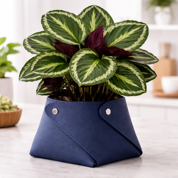 Cache Pot Bleu Grand
