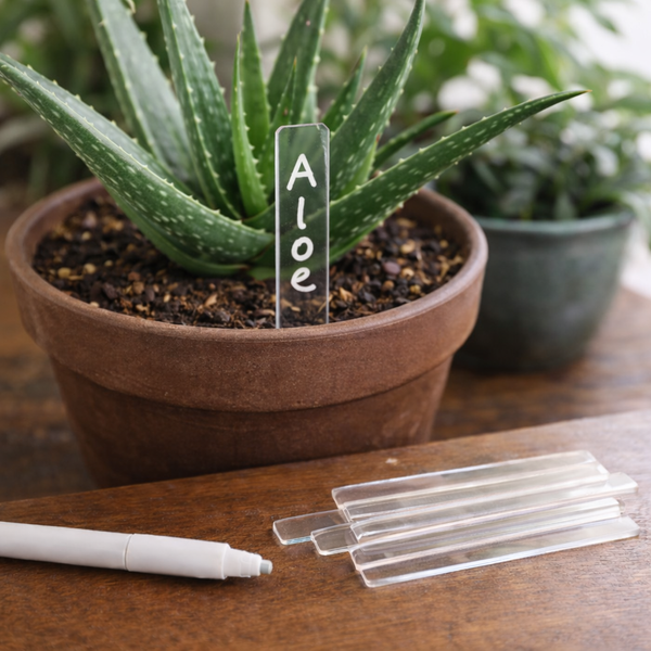 🌿 Étiquettes de plantes en acrylique transparent – Lot de 12 avec marqueur