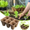 Pot de semi en tourbe biodégradable