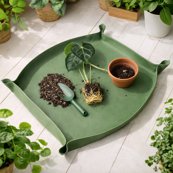 Tapis de rempotage Vert