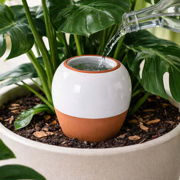 💧 Oya pour Plantes – Pointe en Terracotta, Auto-arrosage